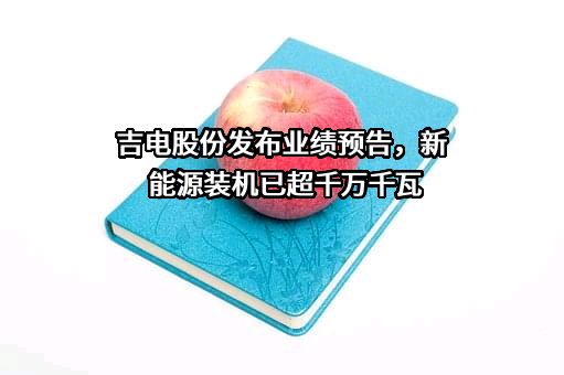 吉林电力股份有限公司
