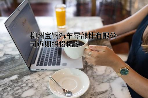 柳州宝钢汽车零部件有限公司
