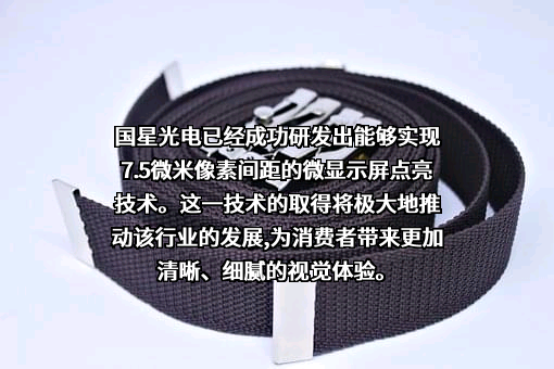 佛山市国星光电股份有限公司