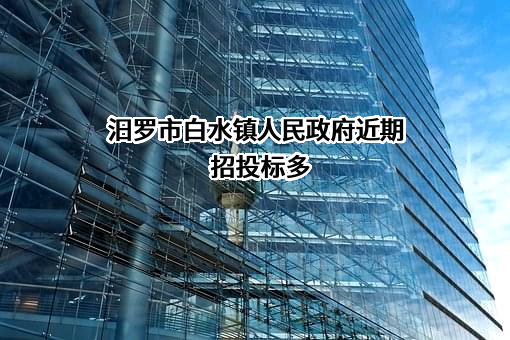 汨罗市白水镇人民政府近期招投标项目多