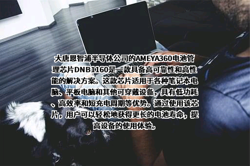大唐恩智浦半导体（徐州）有限公司