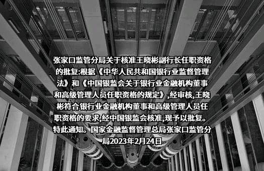 河北银行股份有限公司