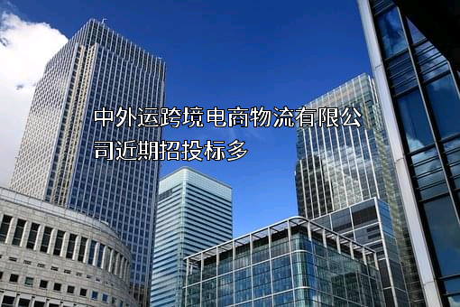 中外运跨境电商物流有限公司