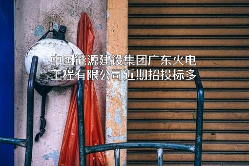 中国能源建设集团广东火电工程有限公司