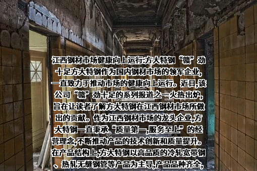 上海钢联电子商务股份有限公司