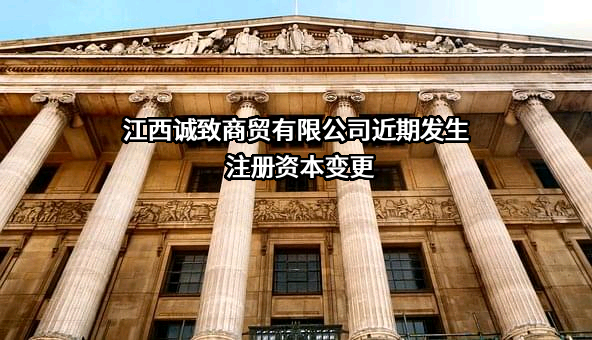 江西诚致商贸有限公司