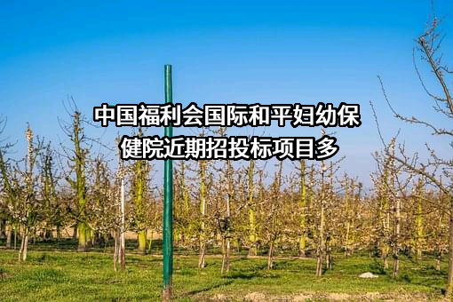 中国福利会国际和平妇幼保健院