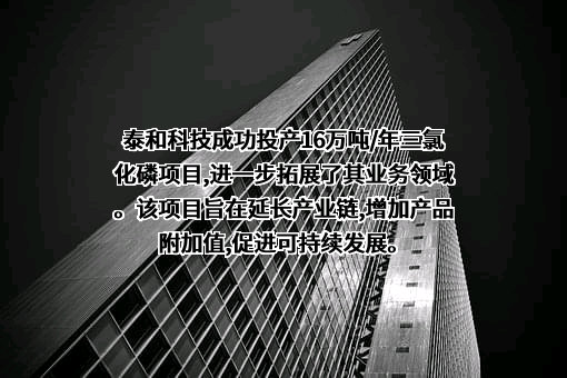 山东泰和科技股份有限公司