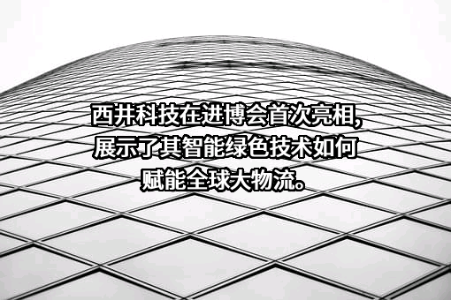 上海西井科技股份有限公司