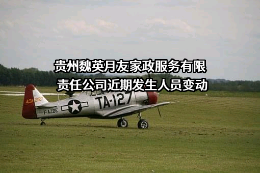 贵州魏英月友家政服务有限责任公司