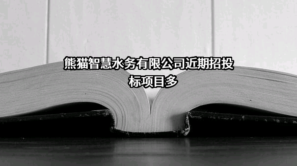 熊猫智慧水务有限公司