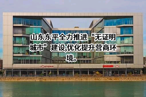 东平县行政审批服务局