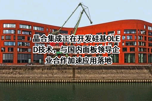 合肥晶合集成电路股份有限公司