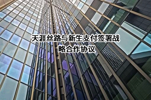 天涯丝路（海南）网络科技有限公司