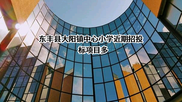 东丰县大阳镇中心小学