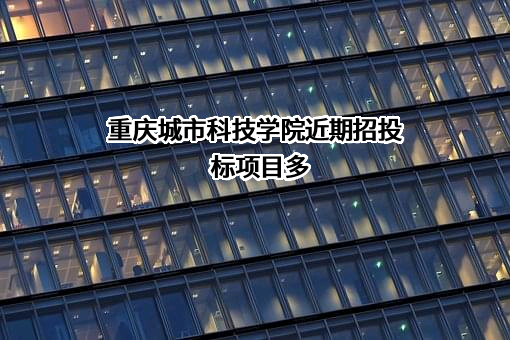 重庆城市科技学院