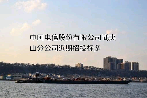中国电信股份有限公司武夷山分公司