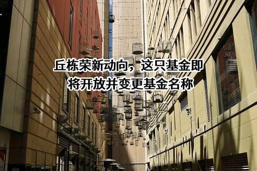 丘栋荣新动向，这只基金即将开放并变更基金名称