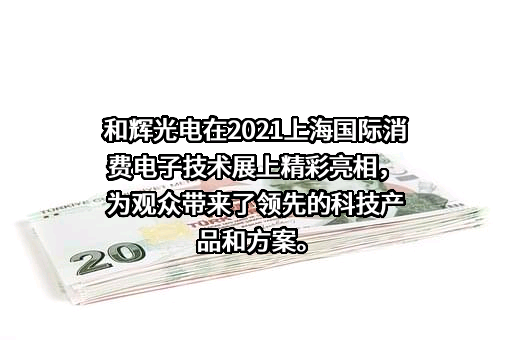 上海和辉光电股份有限公司