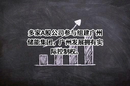 广州发展集团股份有限公司
