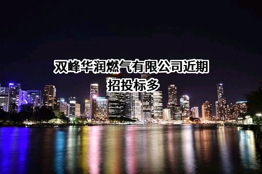 双峰华润燃气有限公司