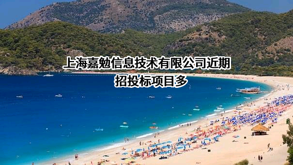 上海嘉勉信息技术有限公司