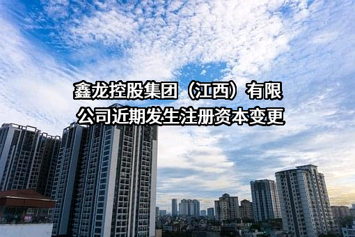 鑫龙控股集团（江西）有限公司