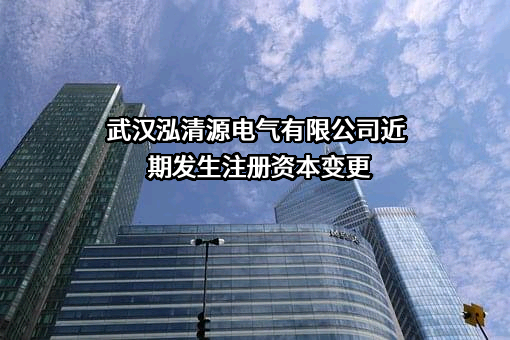 武汉泓清源电气有限公司