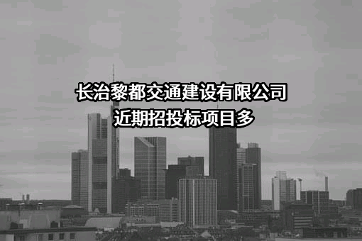 长治黎都交通建设有限公司