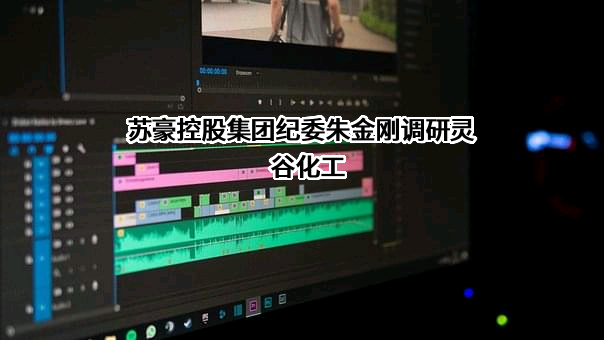 江苏省苏豪控股集团有限公司