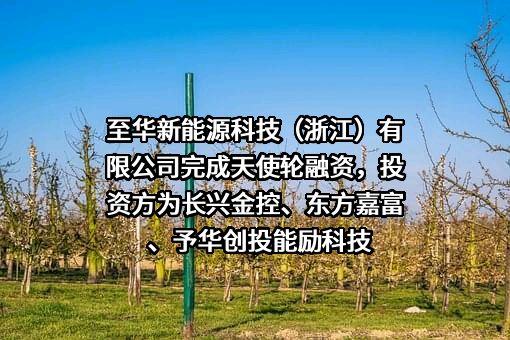 至华新能源科技（浙江）有限公司完成天使轮融资，投资方为长兴金控、东方嘉富、予华创投能励科技