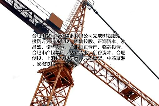 合肥御微半导体技术有限公司