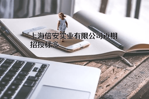 上海倍安实业有限公司