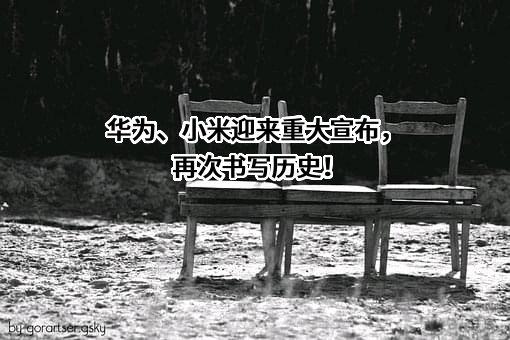 华为技术有限公司