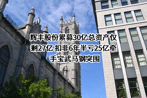 辉丰股份累募30亿总资产仅剩27亿 扣非6年半亏25亿牵手宝武马钢突围