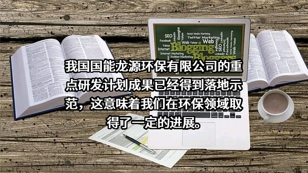 国能龙源环保有限公司