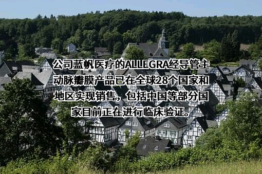 蓝帆医疗股份有限公司