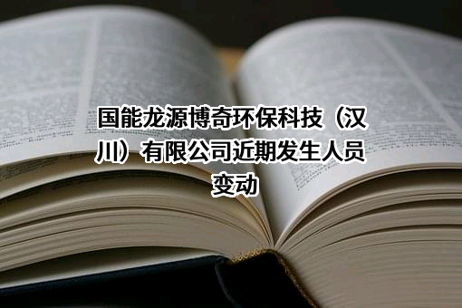 国能龙源博奇环保科技（汉川）有限公司
