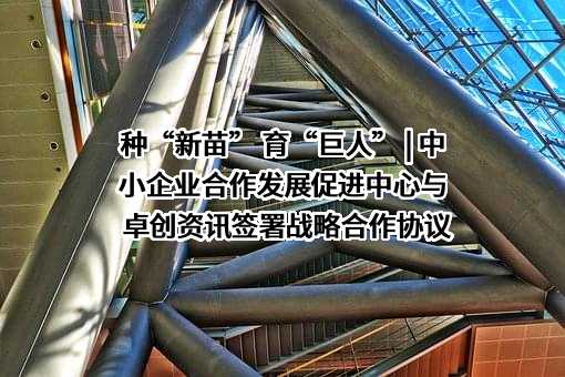 山东卓创资讯股份有限公司