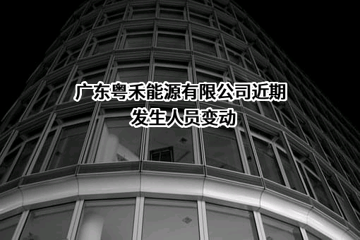 广东粤禾能源有限公司