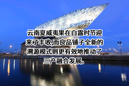 良品铺子股份有限公司