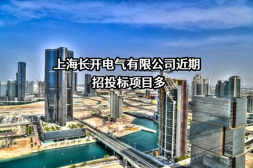 上海长开电气有限公司