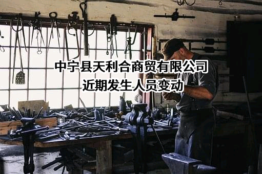 中宁县天利合商贸有限公司