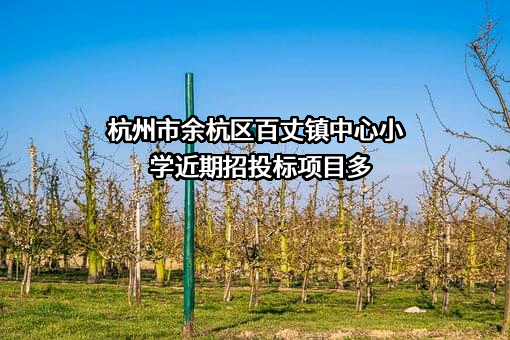 杭州市余杭区百丈镇中心小学