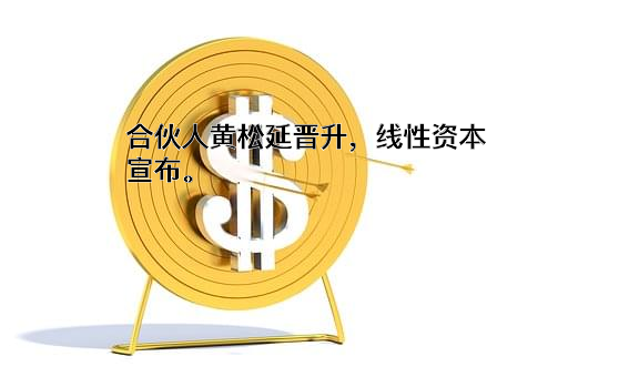 上海线性投资管理有限公司