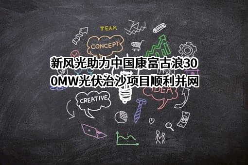 新风光电子科技股份有限公司