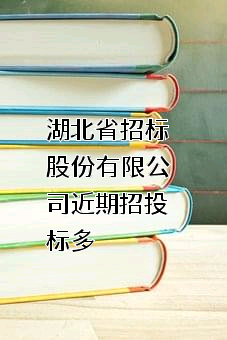湖北省招标股份有限公司