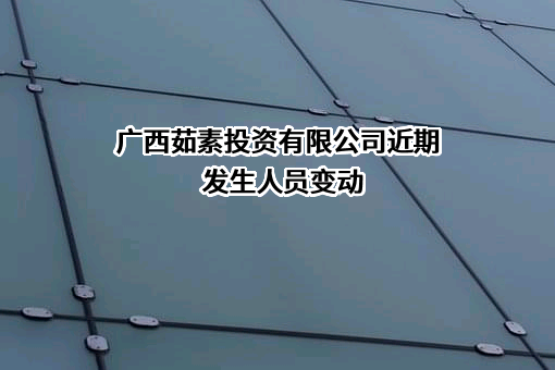 广西茹素投资有限公司