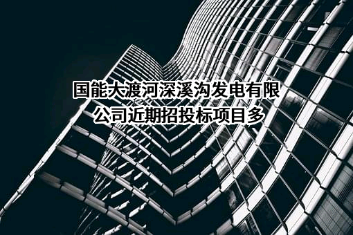 国能大渡河深溪沟发电有限公司