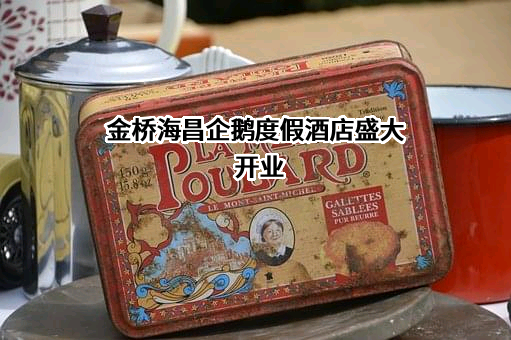 海昌海洋公园控股有限公司